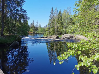 Karelia 'daki Tokhmayoki Nehri' nde açık bir yaz sabahı ağaçlarla çevrili pitoresk bir şelale..