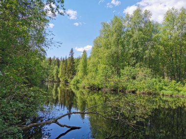 Ormanın ortasındaki Tohmajoki Nehri, Ruskeala dağ parkındaki bulutlarla ağaçları ve gökyüzünü yansıtır..