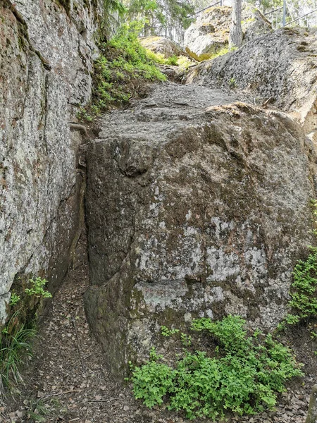 一个晴朗的夏日 维堡Monrepos岩石自然公园的一个巨石栅栏 — 图库照片