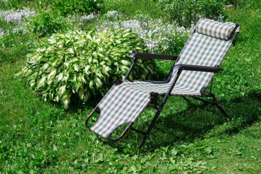 A light checkered folding chair for sunbathing in nature stands on the grass next to a flower bed with Hosta and nemophila flowers. clipart