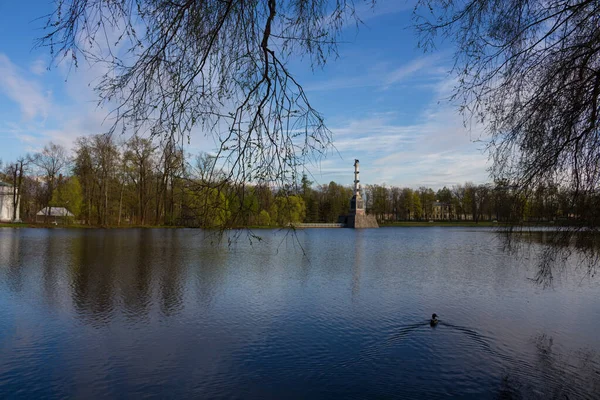 Eine Ente Schwimmt Zur Chesma Säule Großen See Des Katharinenparks — Stockfoto