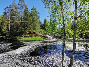 Karelia 'daki Tokhmayoki Nehri' nde açık bir yaz sabahı ağaçlarla çevrili pitoresk bir şelale..