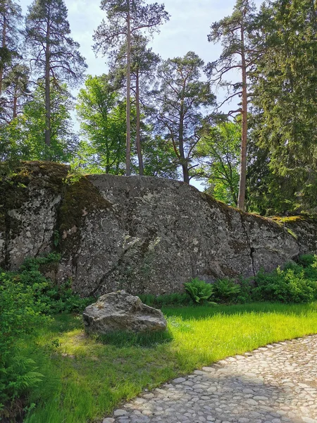 Ett Stengärde Vid Stig Kantad Kullerstenar Den Steniga Naturparken Monrepos — Stockfoto