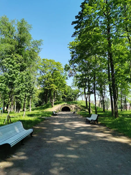 Camino Con Bancos Blancos Gruta Jardín Verano Ciudad Kronstadt Sobre —  Fotos de Stock