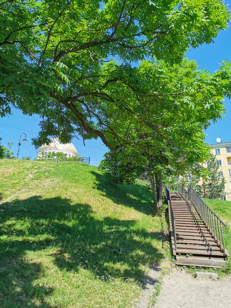 Vista Inferior Cúpula Catedral São Nicolau Através Das Árvores Jardim — Fotografia de Stock