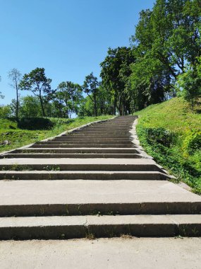 Kronstadt şehrinin Yaz Bahçesi 'ndeki geniş bir taş merdivenin altından bulutsuz bir gökyüzünün arka planına bakan bir manzara.