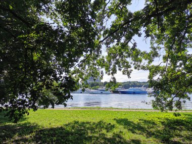 Krestovsky Adası açıklarında duran yatların manzarası güneşli bir yaz gününde bulutlu mavi gökyüzünün arka planında bir meşe ağacının dalları ve yaprakları arasında.