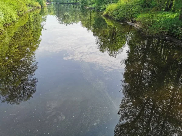 Ağaçların arasında, bulutsuz bir bahar gününde St. Petersburg 'daki Elagin Adası' ndaki parkta..