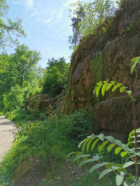 岩の上に木が生えている岩の柵を抜ける道夏の晴れた日にヴィボルグ市のモンレポス — ストック写真