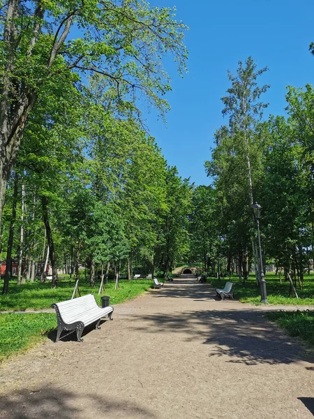 Estrada Com Bancos Brancos Para Gruta Jardim Verão Cidade Kronstadt — Fotografia de Stock