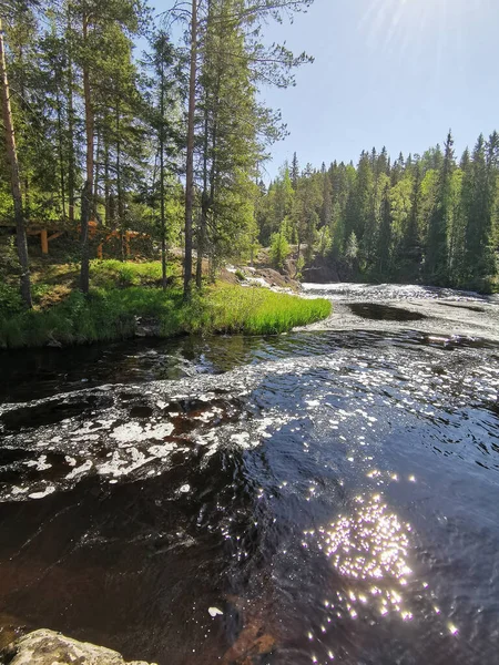 Blick Vom Ökologischen Pfad Tokhmayoki Fluss Karelien Einem Sonnigen Sommermorgen — Stockfoto