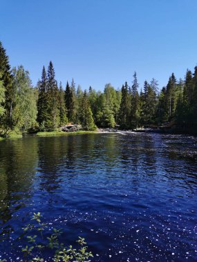 Karelia 'daki Tokhmayoki Nehri' nde açık bir yaz sabahı ağaçlarla çevrili pitoresk bir şelale..