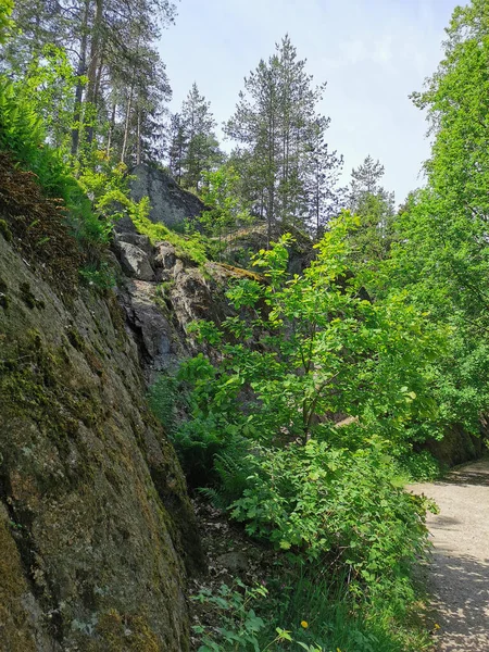 在一个晴朗的夏日里 有一条小路穿过维堡市的岩石自然公园Monrepos 上面长满了树木 — 图库照片