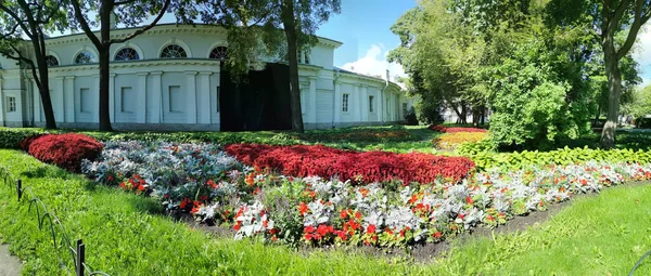 Panorama Jardín Flores Parque Con Coleus Rojo Verde Pabellón Día — Foto de Stock