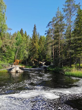 Karelia 'daki Tokhmayoki Nehri' nde açık bir yaz sabahı ağaçlarla çevrili pitoresk bir şelale..