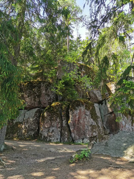 Una Cerca Roca Parque Natural Roca Monrepos Vyborg Día Claro —  Fotos de Stock