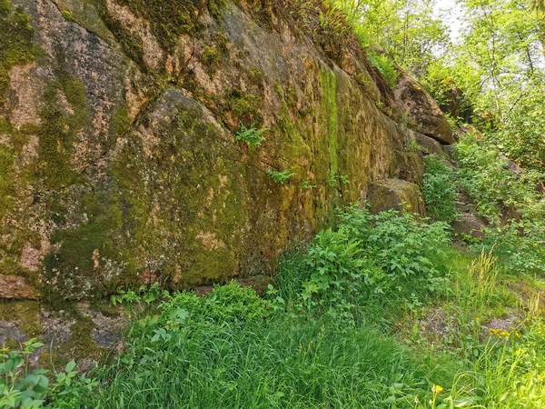 在一个晴朗的夏日 在维堡市的Monrepos岩石自然公园里 有一个巨大的栅栏 树上长满了树木 — 图库照片