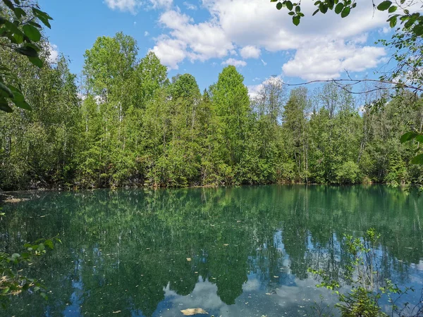 Shore Lake Light Turquoise Water Which Reflects Trees Sky Clouds — Stock Photo, Image