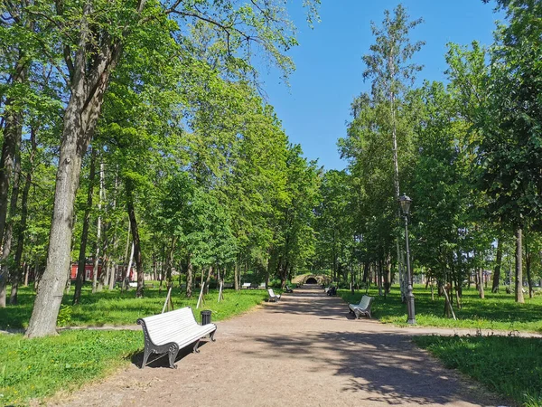 Estrada Com Bancos Brancos Para Gruta Jardim Verão Cidade Kronstadt — Fotografia de Stock