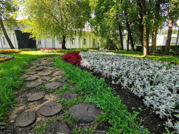 夏の晴れた日にラウンドカット木が並ぶ コレウスと銀の葉を持つ植物と花壇の間の公園内の道路 — ストック写真