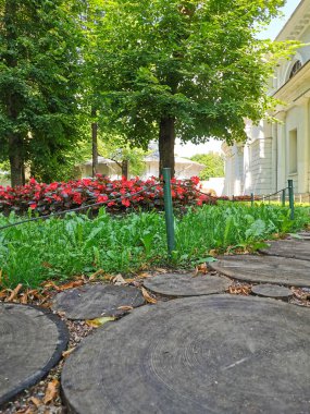 Çadırların arasındaki parkta güneşli bir yaz gününde yuvarlak kesim ağaçlarıyla kaplı bir patika..