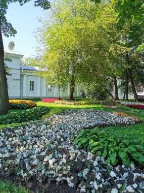 Parkta koleüslü çiçek yatakları, ev sahibi ve güneşli bir yaz gününde gümüş yapraklı bitkiler..