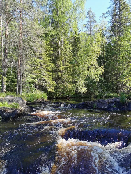 Picturesque Waterfall Tokhmayoki River Karelia Surrounded Trees Clear Summer Morning — Stock Photo, Image