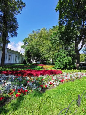 Parkta koleüslü çiçek yatakları, ev sahibi ve güneşli bir yaz gününde gümüş yapraklı bitkiler..