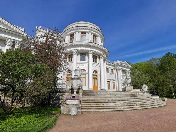 Canteiro Flores Com Uma Viola Rosa Lado Vaso Palácio Elaginoostrovsky — Fotografia de Stock