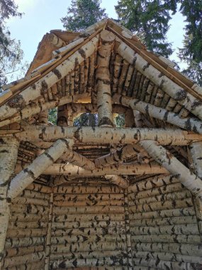 Tamamen huş ağacından yapılmış bir keşiş evi, Monrepos 'un kayalık doğal parkında, açık bir yaz gününde Vyborg şehrinde..