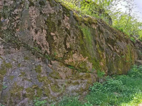 Ett Stengärde Med Träd Som Växer Det Den Steniga Naturparken — Stockfoto