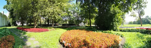 Panorama Estrada Parque Entre Canteiros Flores Com Hosta Coleus Forrado — Fotografia de Stock