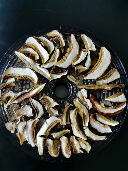 Kurutulmuş domuz mantarı ve boletus siyah arka planda yuvarlak plastik bir kurutucuda yatıyor..