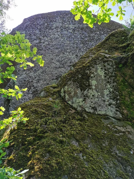 Enormes Rocas Una Cerca Roca Cubierta Musgo Parque Natural Rocoso — Foto de Stock