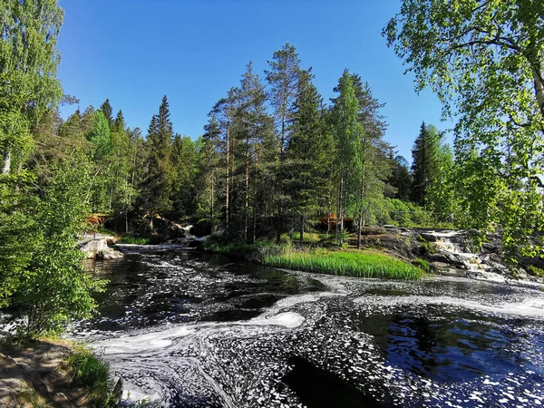 Karelia 'daki Tokhmayoki nehrinde açık bir yaz sabahı ağaçlarla çevrili resimli şelaleler..