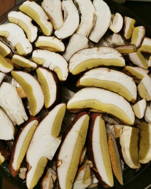 Porcini ve boletus mantarlarının doğranmış kepleri ve bacakları plastik tel askıda kurulanmaya hazırdır..