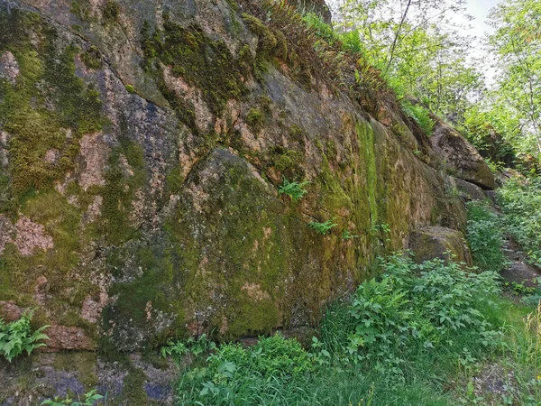 Una Cerca Roca Con Árboles Creciendo Ella Parque Natural Rocoso —  Fotos de Stock