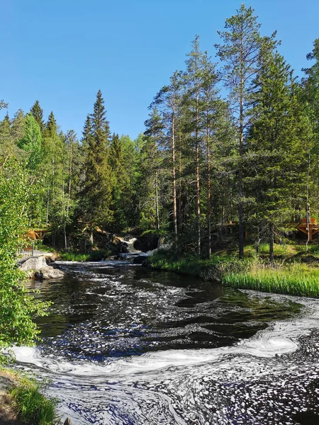 Живописный Водопад Реке Тохмайоки Карелии Окруженный Деревьями Ясным Летним Утром — стоковое фото