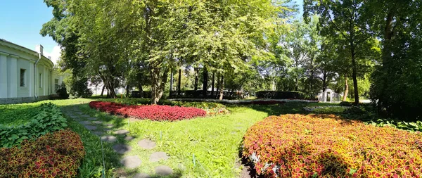 Panorama Route Dans Parc Entre Les Parterres Fleurs Avec Hosta — Photo