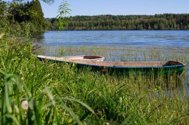 İki küçük kayığın olduğu bir orman gölünün otlak kıyısı..