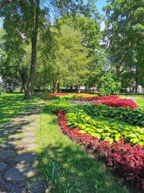Güneşli bir yaz gününde çiçek tarlaları ile koleus arasında uzanan yuvarlak kesim ağaçlarının olduğu parkta bir patika..