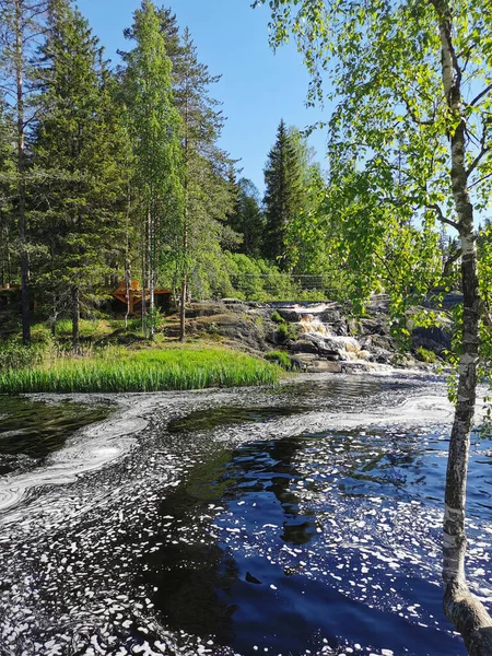 Karelia 'daki Tokhmayoki Nehri' nde açık bir yaz sabahı ağaçlarla çevrili pitoresk bir şelale..
