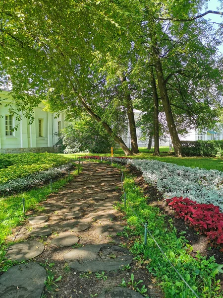 Road Park Flower Beds Coleus Plants Silver Leaves Lined Cut — Stock Photo, Image