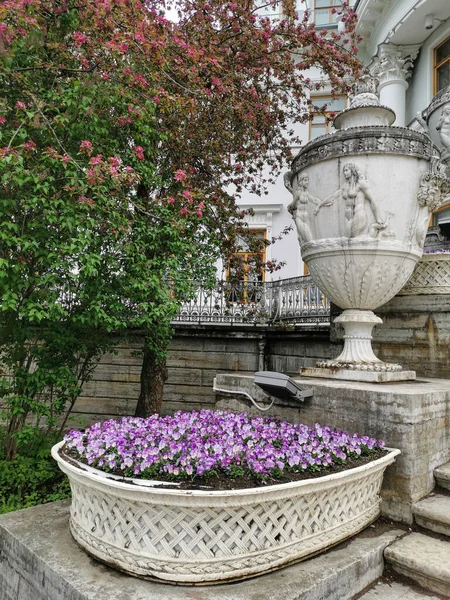 Macizo Flores Con Una Viola Rosa Junto Jarrón Del Palacio —  Fotos de Stock