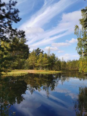 Sarı yapraklı ağaçların ve Sestroretsk bataklık eko ipinde bir orman gölünün suyunda tüylü bulutların olduğu gökyüzünün ayna görüntüsü..