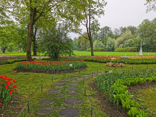 Grandes Macizos Flores Con Tulipanes Rojos Otros Entre Ellos Camino —  Fotos de Stock