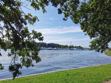 Krestovsky Adası açıklarında duran yatların manzarası güneşli bir yaz gününde bulutlu mavi gökyüzünün arka planında bir meşe ağacının dalları ve yaprakları arasında.