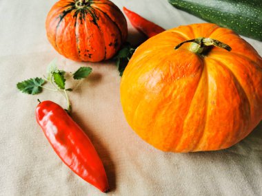 İki küçük turuncu balkabağı, biri yeşil çizgili, kabaklı, iki kırmızı biber ve Melissa (Latin Melissa officinalis) açık renk kumaşta. Yan görünüm.