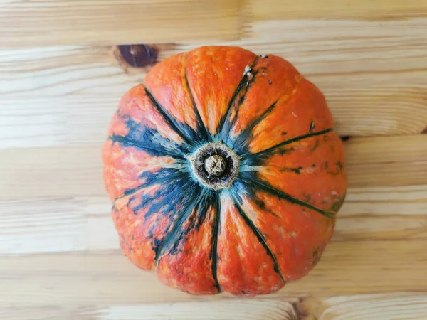 Kleine Oranje Pompoen Met Groene Strepen Een Houten Tafel Jouw — Stockfoto