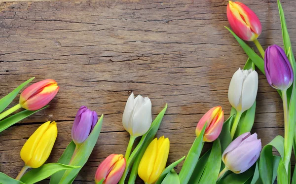 Tulipas coloridas em madeira — Fotografia de Stock